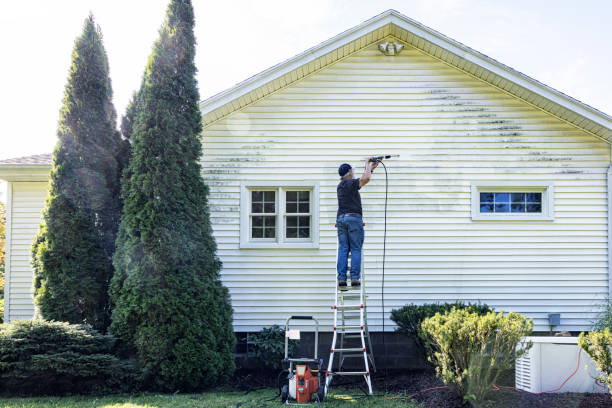 Best Exterior Home Cleaning  in Hawley, MN