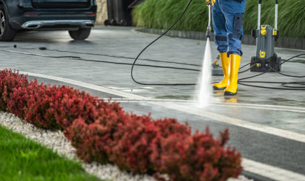 Best Pressure Washing Driveway  in Hawley, MN
