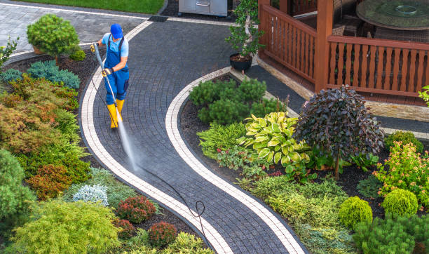 Best Residential Pressure Washing Services  in Hawley, MN